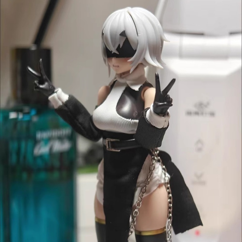 1/12 مقياس ملون قبالة الكتف أع - مراجعة Model Kit Girls وسعره