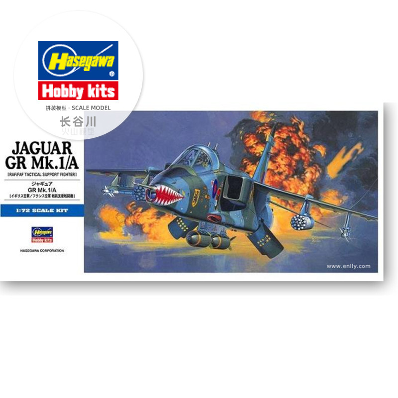 نموذج التجميع الجاهز Hasegawa- - مراجعة Model Kit Hasegawa وسعره
